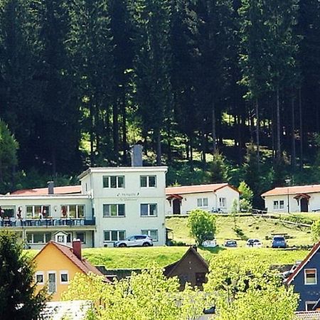 Pension Am Waldesrand Ilmenau Εξωτερικό φωτογραφία